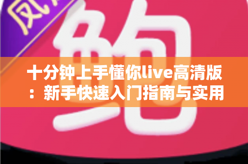 十分钟上手懂你live高清版：新手快速入门指南与实用技巧全解析