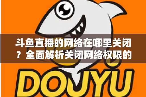 斗鱼直播的网络在哪里关闭？全面解析关闭网络权限的详细步骤与实用技巧