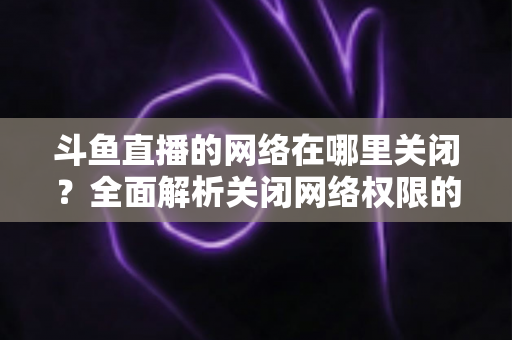 斗鱼直播的网络在哪里关闭？全面解析关闭网络权限的详细步骤与实用技巧