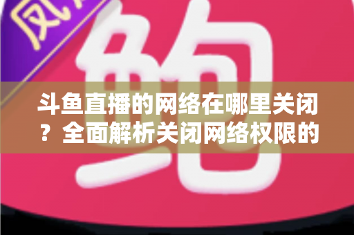 斗鱼直播的网络在哪里关闭？全面解析关闭网络权限的详细步骤与实用技巧