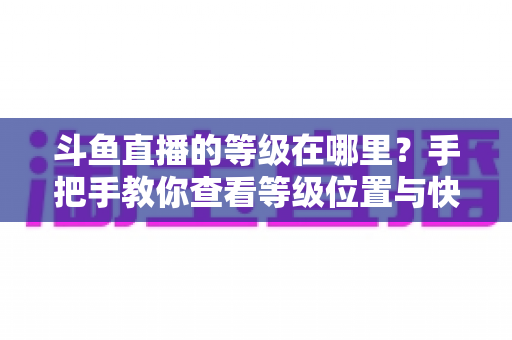斗鱼直播的等级在哪里？手把手教你查看等级位置与快速升级全攻略