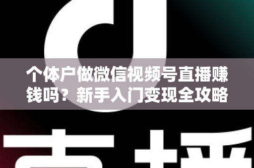 个体户做微信视频号直播赚钱吗？新手入门变现全攻略与真实收益解析