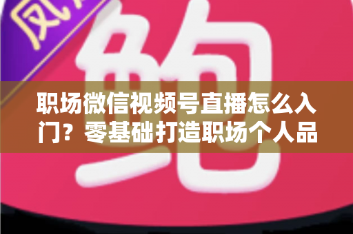职场微信视频号直播怎么入门？零基础打造职场个人品牌的完整指南
