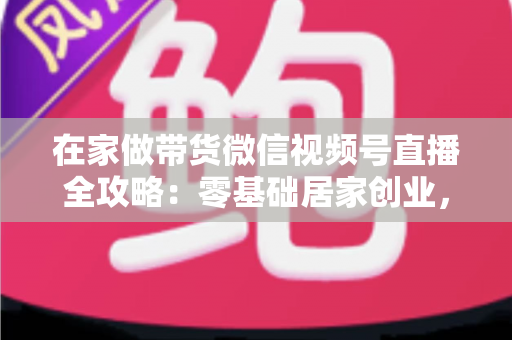 在家做带货微信视频号直播全攻略：零基础居家创业，一部手机开启副业变现之路