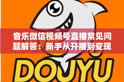 音乐微信视频号直播常见问题解答：新手从开播到变现的全方位实用指南