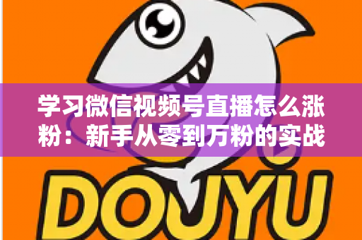 学习微信视频号直播怎么涨粉:新手从零到万粉的实战运营指南 学习微信视频号直播怎么涨粉:新手从零到万粉的实战运营指南