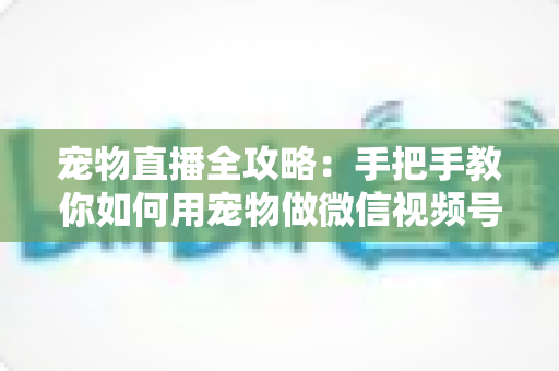 宠物直播全攻略：手把手教你如何用宠物做微信视频号直播，轻松涨粉又变现
