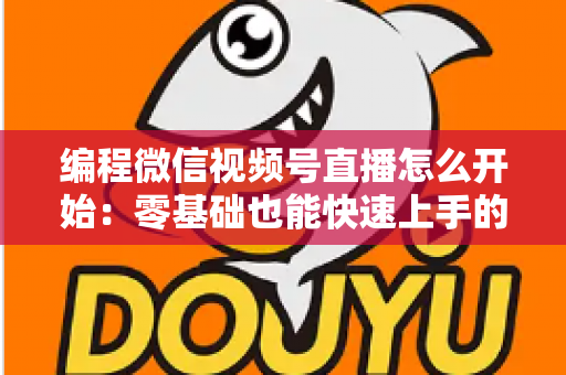 编程微信视频号直播怎么开始：零基础也能快速上手的开播全攻略