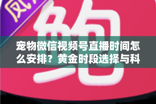 宠物微信视频号直播时间怎么安排？黄金时段选择与科学排期全攻略