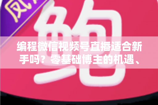 编程微信视频号直播适合新手吗？零基础博主的机遇、挑战与实战全指南