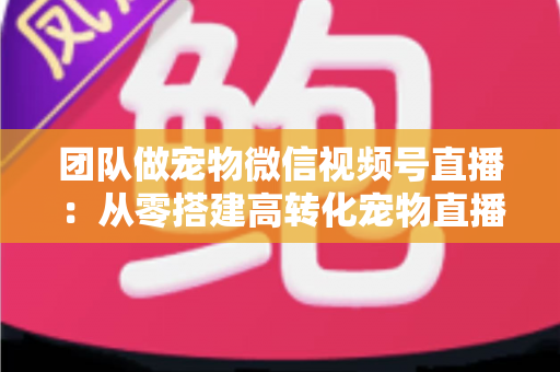 团队做宠物微信视频号直播：从零搭建高转化宠物直播间的完整实战指南