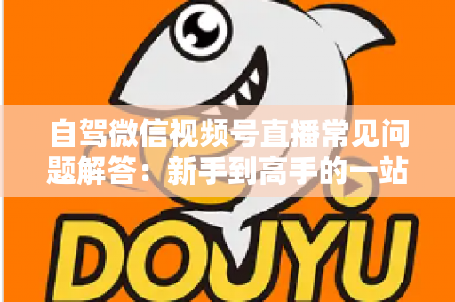 自驾微信视频号直播常见问题解答：新手到高手的一站式实战指南