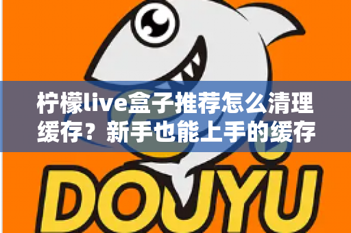 柠檬live盒子推荐怎么清理缓存？新手也能上手的缓存清理全攻略