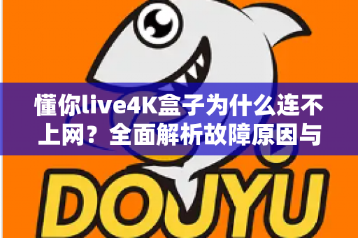懂你live4K盒子为什么连不上网？全面解析故障原因与实用解决方案