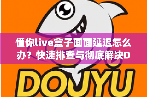 懂你live盒子画面延迟怎么办？快速排查与彻底解决Delay问题的完整指南